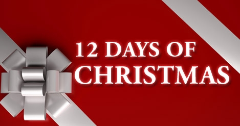 Twelve Days of Western Loudoun Christmas Picture
