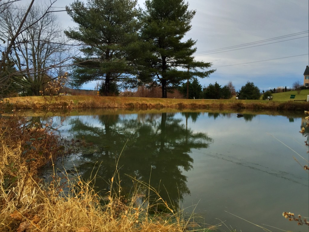 Crushed Cellars Pond